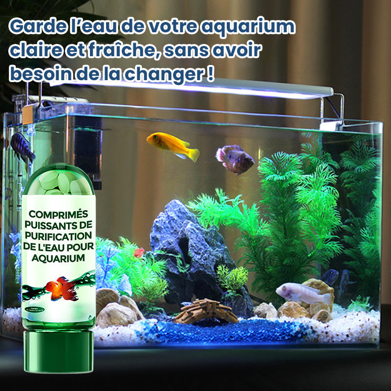 ⏳Des préférences temporelles limitées💥🔥Comprimé Puissant de Purification de l'Eau pour Aquarium