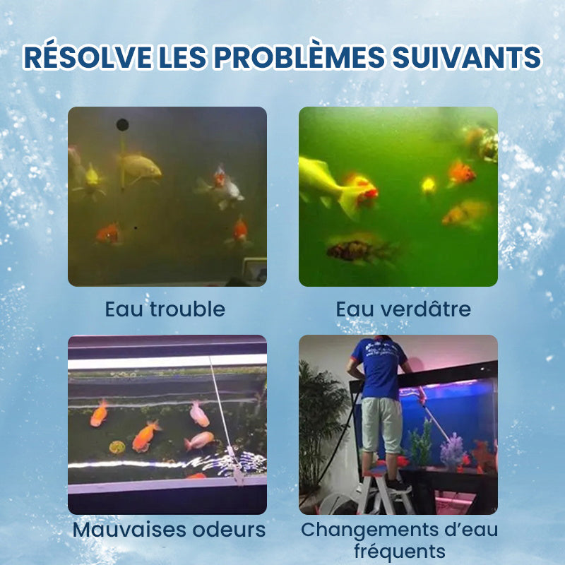 ⏳Des préférences temporelles limitées💥🔥Comprimé Puissant de Purification de l'Eau pour Aquarium
