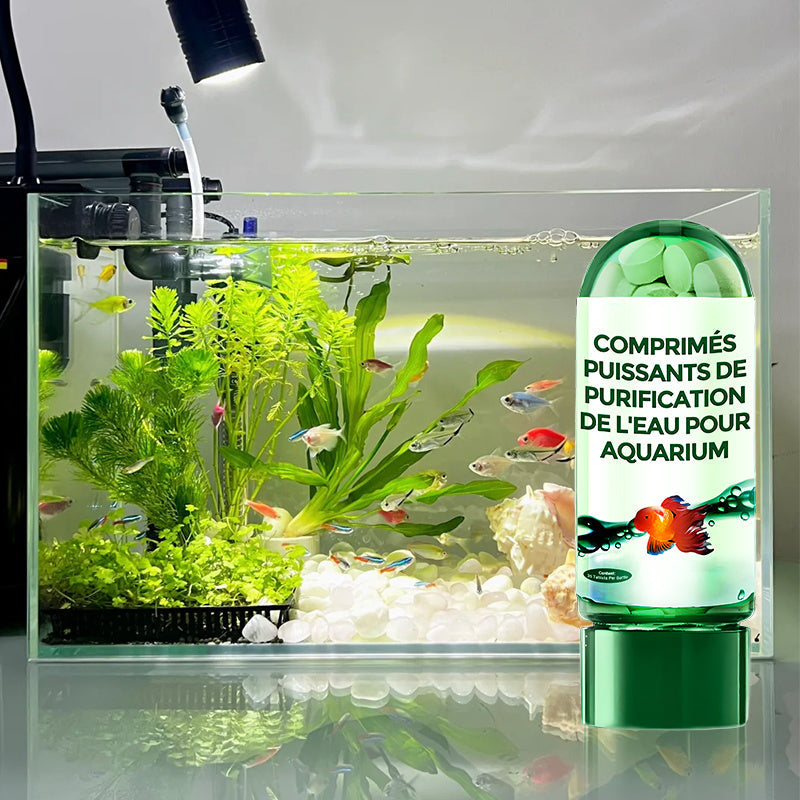 ⏳Des préférences temporelles limitées💥🔥Comprimé Puissant de Purification de l'Eau pour Aquarium