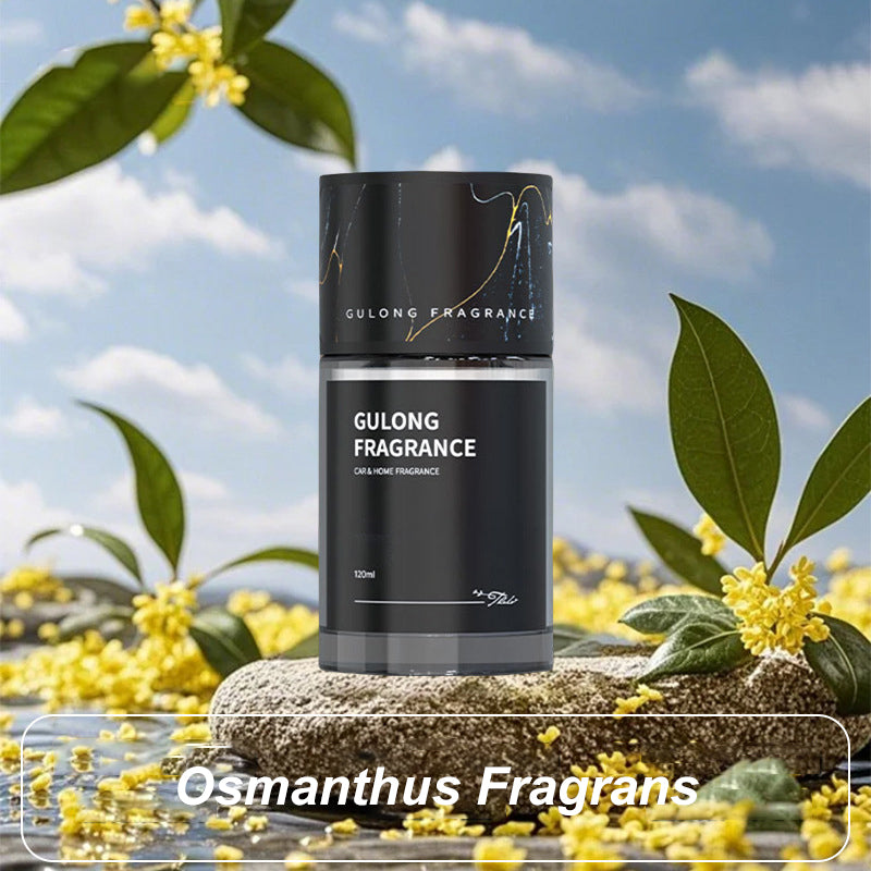 💥🌸🍃2025 Nouvelle vente chaude💝Parfum de voiture longue durée