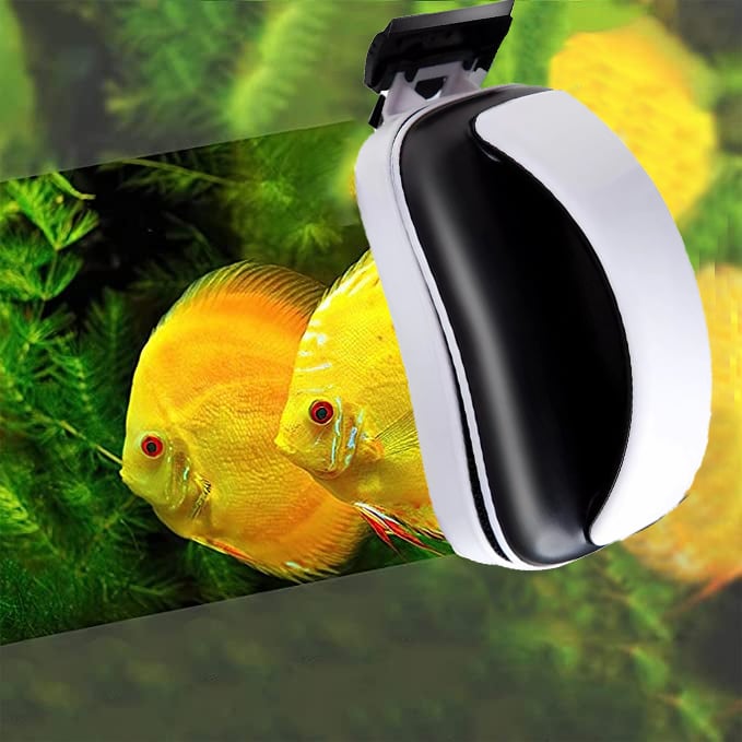 Grattoir magnétique pour aquarium