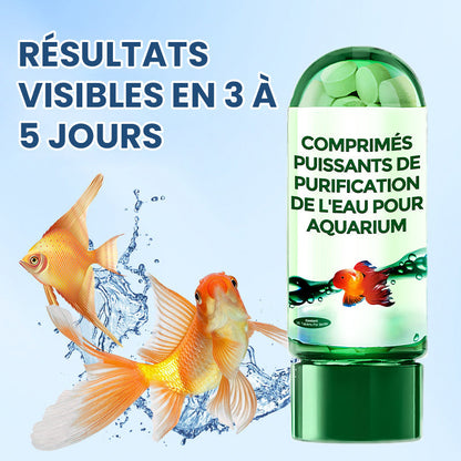⏳Des préférences temporelles limitées💥🔥Comprimé Puissant de Purification de l'Eau pour Aquarium