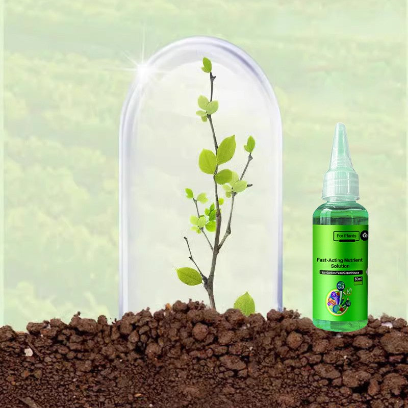 Solution Nutritive à Action Rapide pour Plantes