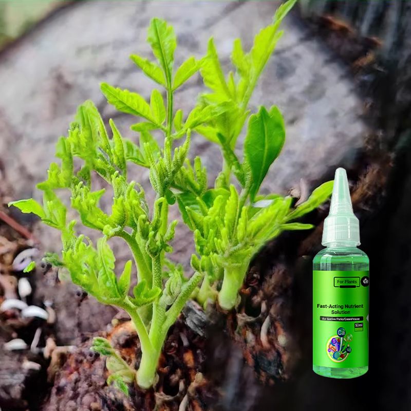 Solution Nutritive à Action Rapide pour Plantes