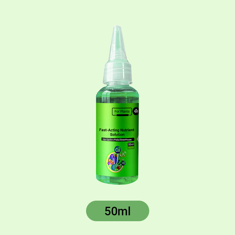 Solution Nutritive à Action Rapide pour Plantes