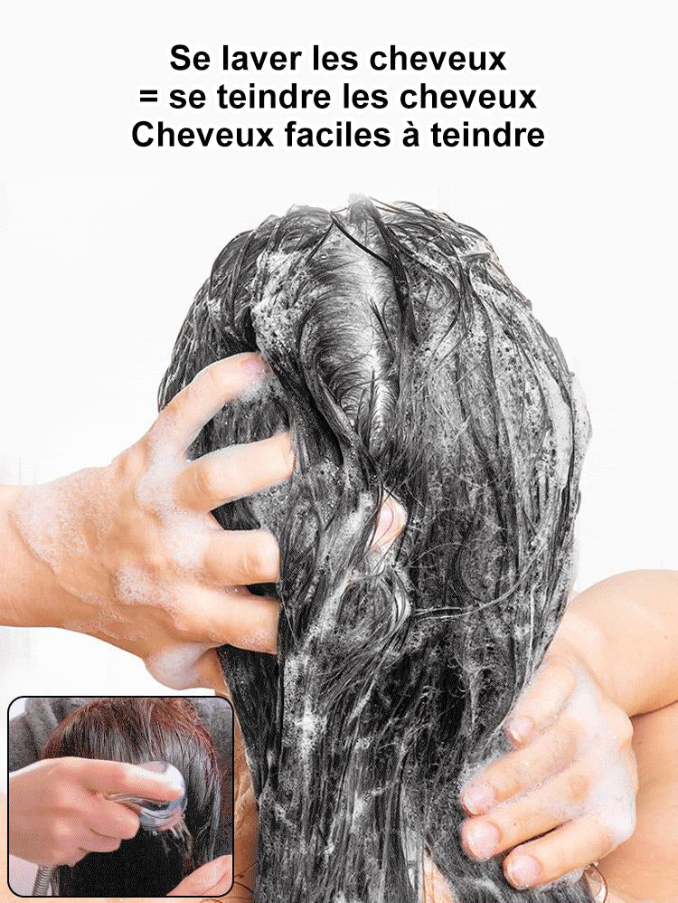 Extraits de plantes pures pour la coloration des cheveux gris Bubble Hair Dye