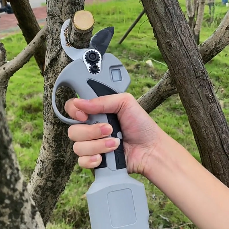 🔥Meilleur vendeur🔥Sécateur électrique de jardin avec batterie ＆ Chargeur