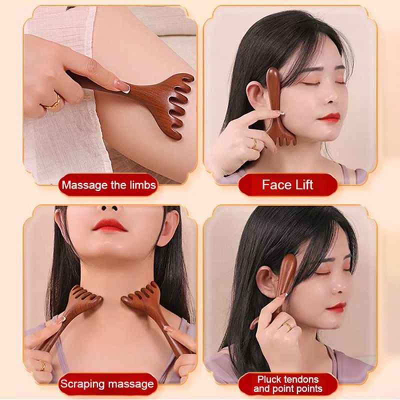 Peigne de massage méridien à six griffe