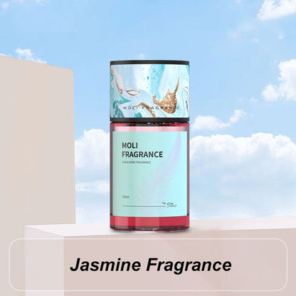 💥🌸🍃2025 Nouvelle vente chaude💝Parfum de voiture longue durée