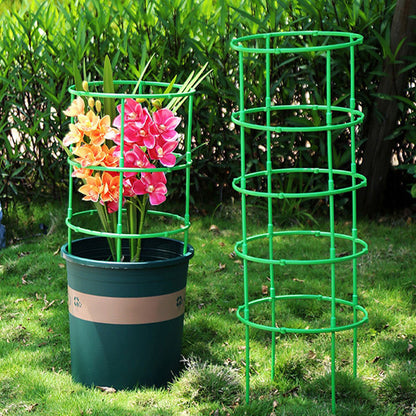 🪴Tuteurs amovibles pour plantes, fleurs et fruits🔥50% de réduction pour une durée limitée