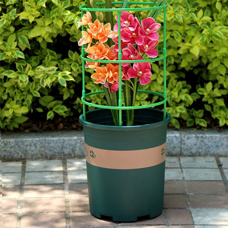 🪴Tuteurs amovibles pour plantes, fleurs et fruits🔥50% de réduction pour une durée limitée